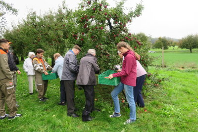 Galerie - Aktivitäten